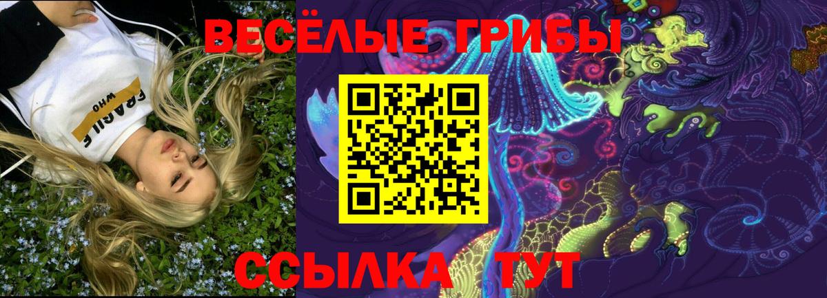 Галлюциногенные грибы мицелий  наркотики  Кстово  Вход с VPN 